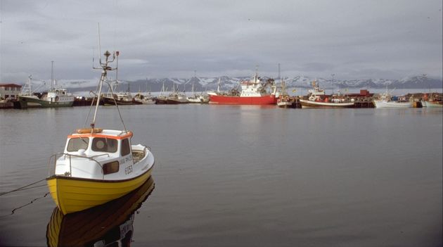 Hafen von Husavík