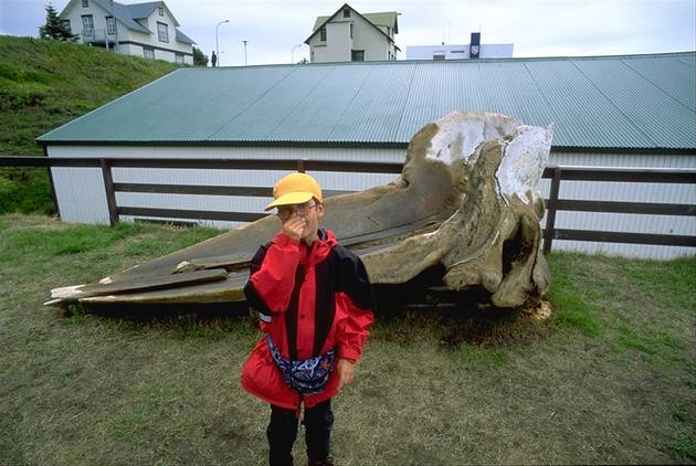 In front of whale museum Husavk