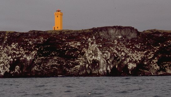 Leuchtturm von Skarðsvík