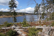 Nationalpark 2025