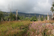 Nationalpark 2026